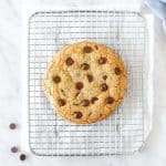Chocolate chip cookie for one a cooling rack