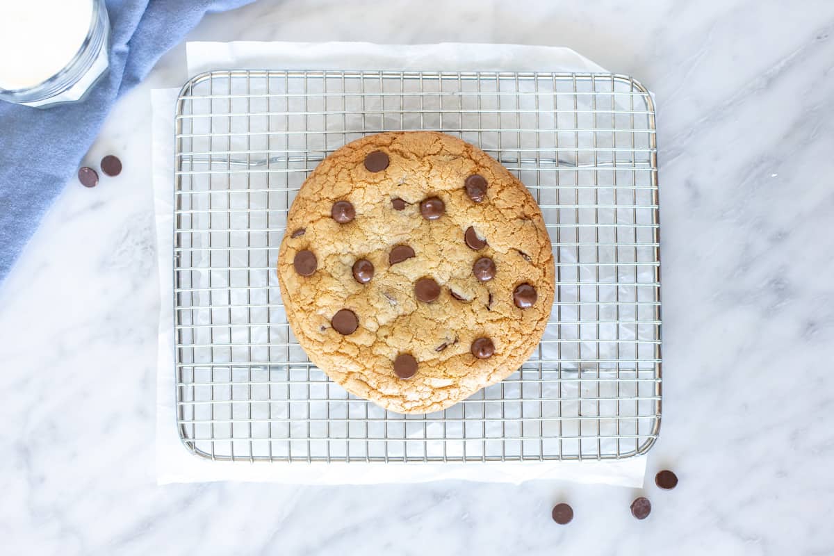 Large, chocolate chip cookie for one on a cooling rack.