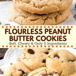 These flourless peanut butter cookies are soft, chewy and big on peanut butter. It's an easy peanut butter cookie recipe that only requires a few simple ingredients - so you likely have everything in your pantry already. Quick, easy & perfect for true peanut butter lovers! #peanutbutter #cookies #glutenfree #flourless #easy #recipes #peanutbuttercookies