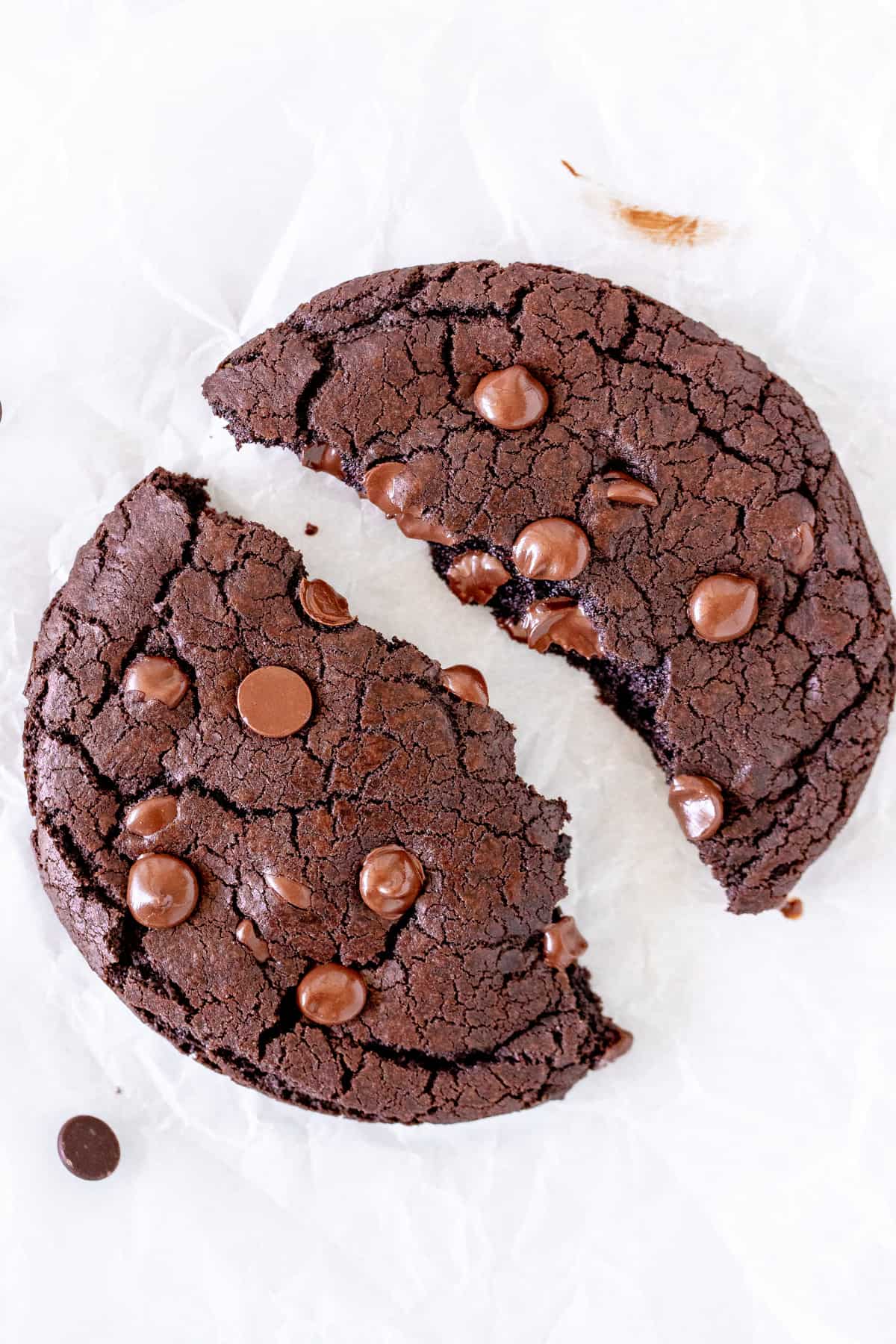 Double chocolate cookie for one broken in half. 