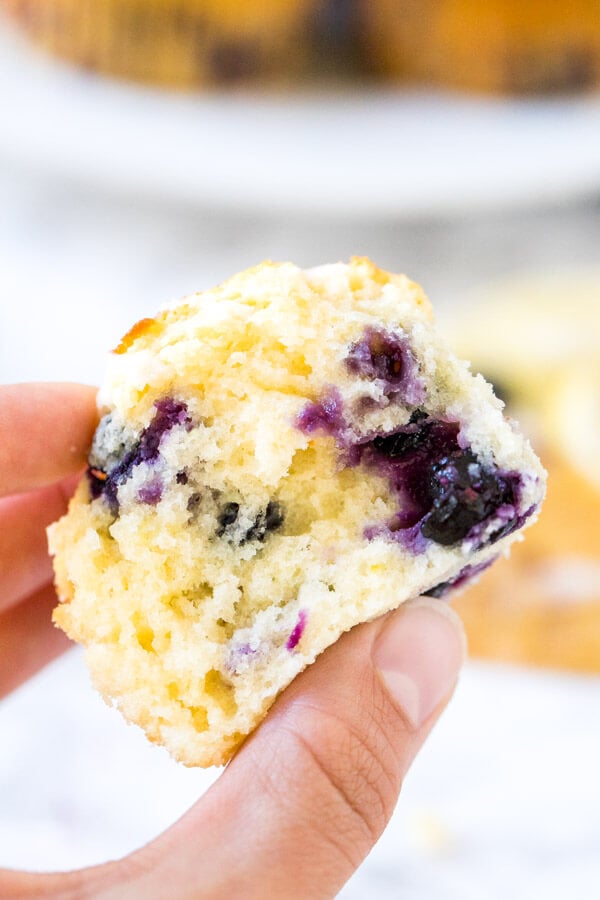 A lemon blueberry muffin broken in half to show the moist middle with juicy berries. 