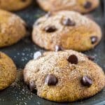 Filled with cinnamon, nutmeg, vanilla, a healthy dose of pumpkin and chocolate chips - these super moist Pumpkin Chocolate Chip Muffins are a must for your fall baking!