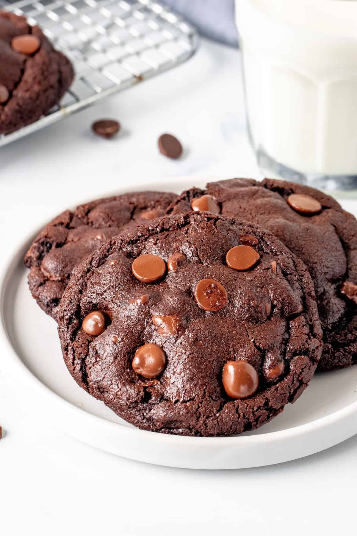 Plate of 3 bakery double chocolate chip cookies