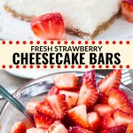Everyone gets excited when I make these fresh strawberry cheesecake bars. They have a crunchy graham cracker crust, a layer of silky smooth cheesecake, and fresh sugar strawberries on top. It's a classic cheesecake recipe and definitely one to add to your dessert rotation. #cheesecake #strawberry #cheesecakebars #dessert #summer #recipes