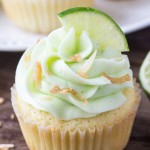 One coconut cupcake with lime frosting, toasted coconut & a slice of lime. www.justsotasty.com