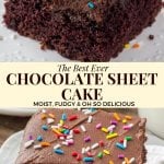 This chocolate sheet cake is an easy recipe made with everyday ingredients that you already have in your pantry. It's moist and fudgy with a delicious chocolate flavor and topped with chocolate frosting #chocolate #cake #sheetcake #frosting #recipes #chocolatecake