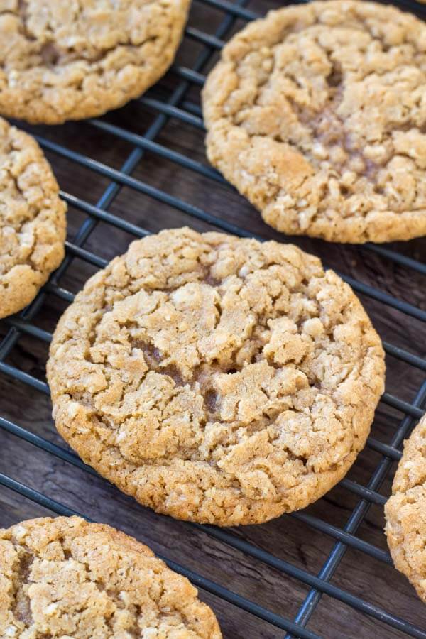 Peanut butter oatmeal cookies fresh from the oven. 