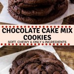 Chocolate Cake Mix Cookies are soft, chewy, and a little fudgy. The recipe only requires 4 ingredients, so it's the perfect easy chocolate cookie recipe for whenever the craving hits. #chocolate #cakemix #cookies #easyrecipes #chocolatecookies #chocolatechipcookies