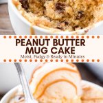 This easy peanut butter mug cake is fudgy, moist, made in the microwave, and ready in under 5 minutes. Add in some chocolate chips or an extra drizzle of peanut butter on top for the most delicious mug cake recipe. #mugcake #peanutbutter #microwave #easy #peanutbuttermugcake #singleserving #dessert #recipes