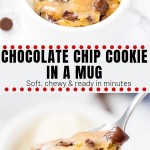 This single serving, deep dish chocolate chip cookie in a mug is seriously gooey and delicious. Ready in under 5 minutes - is dangerously delicious and easy to make! #chocolatechipcookies #microwave #forone #singleserving #chocolatechipcookie #mugcake