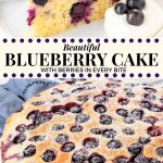 This beautiful blueberry cake is supremely moist, with a deliciously soft & tender crumb, and a slight hint of lemon. It's not too sweet - which makes it ideal for afternoon tea or brunch. It's easy to whip up, and with juicy berries in every bite - it's the perfect way to showcase fresh blueberries. #blueberries #blueberry #cake #coffeecake #recipes #blueberrycake #summer #desserts #spring #berries