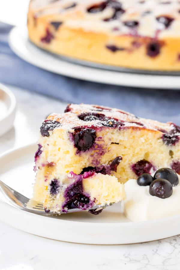 Close up shot of a slice of moist blueberry cake with a bite taken out of it. 