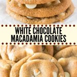 These white chocolate macadamia cookies have soft and chewy centers, perfectly golden edges, and are packed with white chocolate and macadamia nuts. This recipe has been tested, retested & taste tested to produce buttery, chewy cookies that are seriously impossible to resist. #whitechocolate #macadamianut #cookie #recipes #whitechocolatemacadamianutcookies #easy #fromscratch