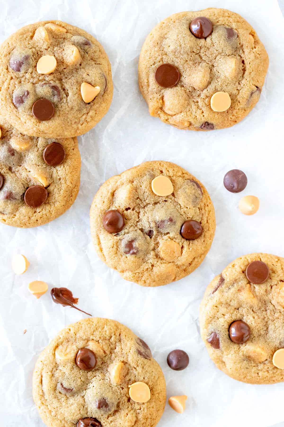 Butterscotch chocolate chip cookie