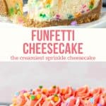 Combine two iconic desserts and make this funfetti cheesecake! It's a super creamy vanilla cheesecake that's loaded with sprinkles and decorated with vanilla frosting. Perfect for birthdays, celebrations - or whenever you want to take your cheesecake to the next level! #sprinkles #cheesecake #funfetti #recipe #confetti #recipe