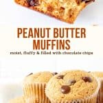 These easy peanut butter muffins have a delicious peanut butter flavor, moist texture, and are filled with chocolate chips. Make them for breakfast or a snack - they're the perfect way to get your peanut butter fix.  #peanutbutter #muffins #chocolatechip #recipe #peanutbuttermuffins #moist from Just So Tasty