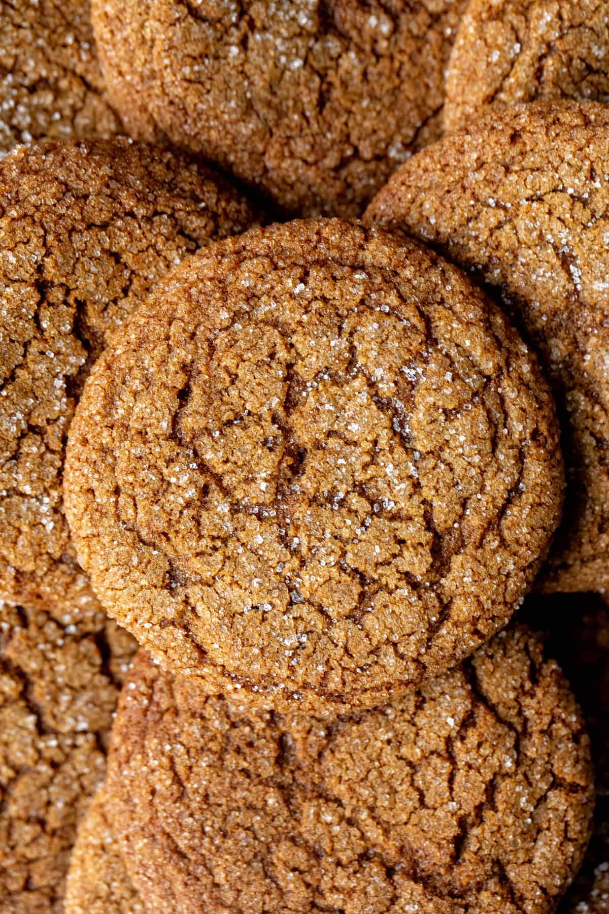 Gingersnap cookies with crinkly tops and rolled in sugar, from above