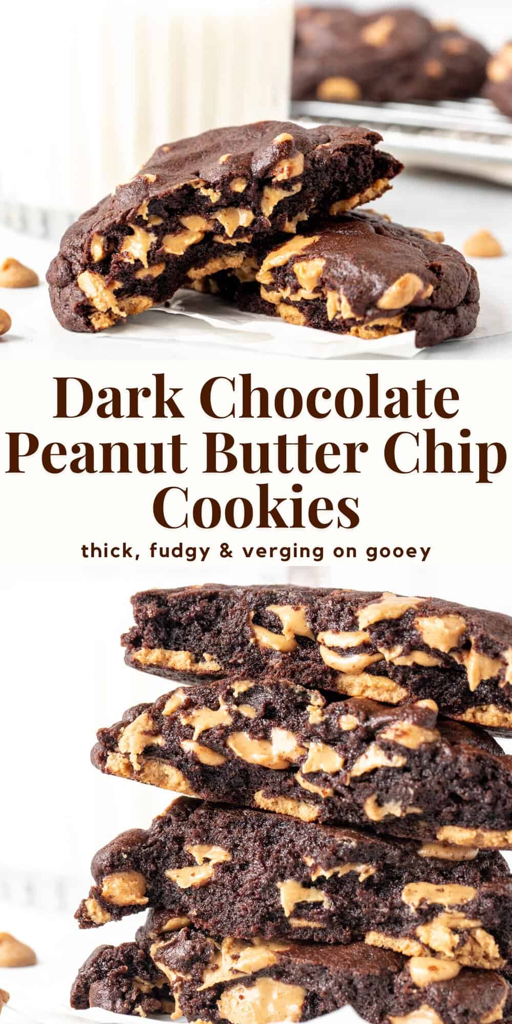 Dark Chocolate Peanut Butter Chip Cookies - Just so Tasty