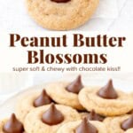 These homemade peanut butter blossoms are the perfect cookie for your holiday baking, but equally delicious all year round. They're incredibly soft, rolled in sugar for a delicious coating and topped with a chocolate kiss. The delicious peanut butter flavor pairs perfectly with the milk chocolate on top. These cookies are incredibly simple to make, and look beautiful on your cookie tray!