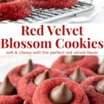 These red velvet blossom cookies are so pretty and perfect for anyone who loves red velvet. They're soft and chewy with a delicious hint of cocoa and beautiful red color. The cookie dough balls are rolled in sugar before they go into the oven and a Hershey's Kiss is placed on top when they come out. Perfect for Valentine's Day!
