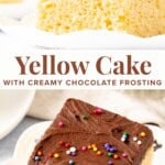 This yellow sheet cake with chocolate frosting is perfect for birthdays and celebrations. It's a moist and tender golden yellow cake with the perfect buttery, vanilla flavor. Then it's topped with creamy chocolate frosting. So much better than a box mix!
