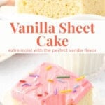 This buttery vanilla sheet cake is moist and tender with the perfect vanilla flavor and soft cake crumb. It's made in a 9x13 inch pan - it requires no decorating skills and transports so easily. Top with creamy vanilla frosting for the perfect cake to feed a crowd.